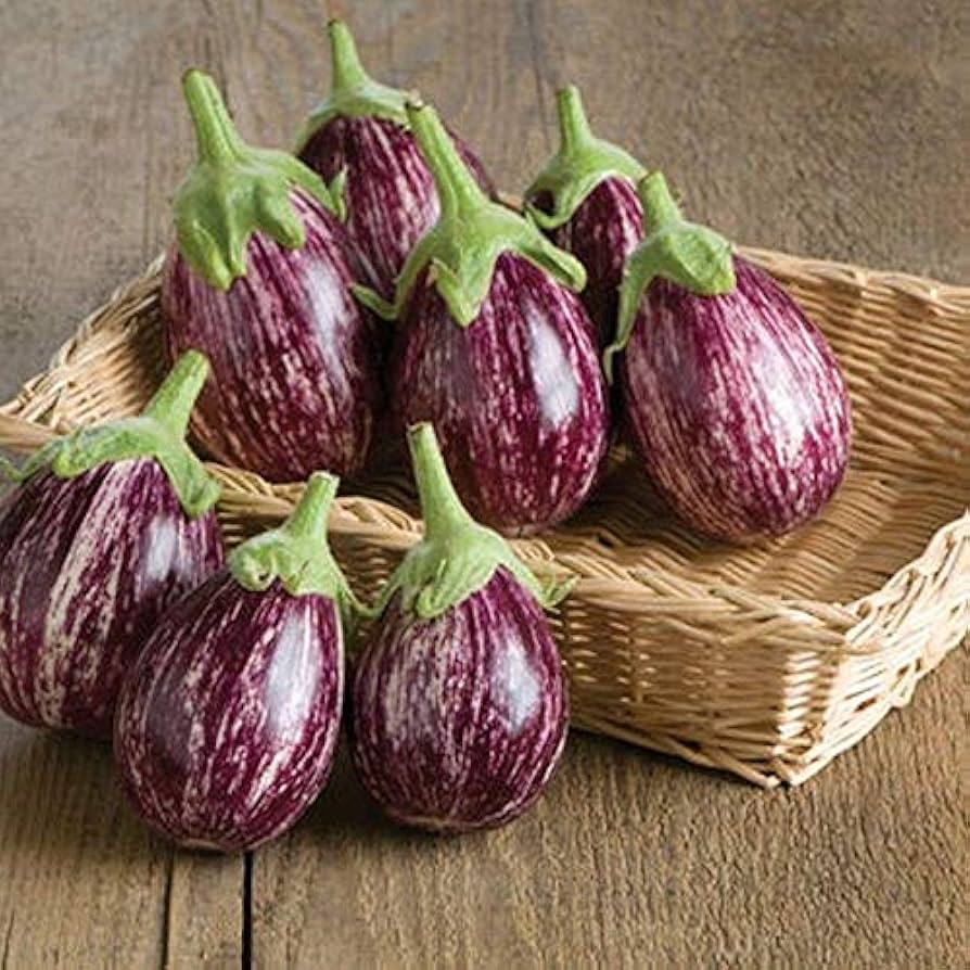 Amazon.com : Calliope F1 Hybrid Eggplant Seeds - Oval White